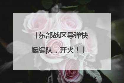 东部战区导弹快艇编队，开火！