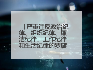 严重违反政治纪律、组织纪律、廉洁纪律、工作纪律和生活纪律的罗璇，非法收受他人巨额财物