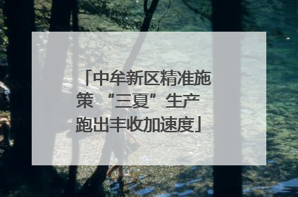 中牟新区精准施策 “三夏”生产跑出丰收加速度