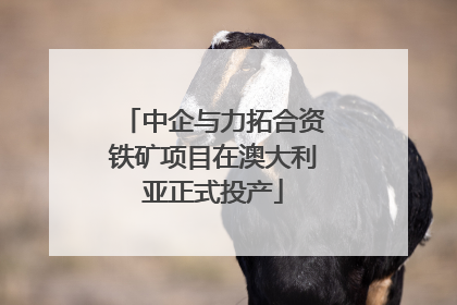 中企与力拓合资铁矿项目在澳大利亚正式投产
