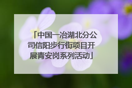 中国一冶湖北分公司信阳步行街项目开展青安岗系列活动