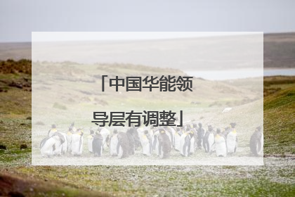 中国华能领导层有调整