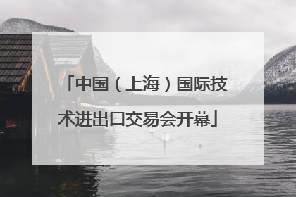 中国（上海）国际技术进出口交易会开幕