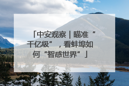 中安观察｜瞄准“千亿级”，看蚌埠如何“智感世界”