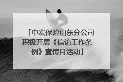 中宏保险山东分公司积极开展《信访工作条例》宣传月活动
