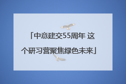 中意建交55周年 这个研习营聚焦绿色未来