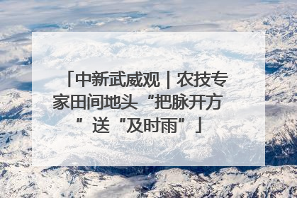 中新武威观｜农技专家田间地头“把脉开方”送“及时雨”