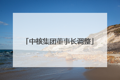 中核集团董事长调整