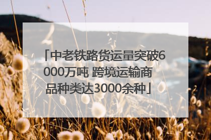 中老铁路货运量突破6000万吨 跨境运输商品种类达3000余种