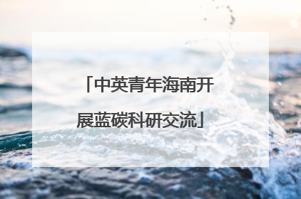 中英青年海南开展蓝碳科研交流