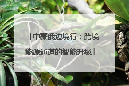 中蒙俄边境行：跨境能源通道的智能升级