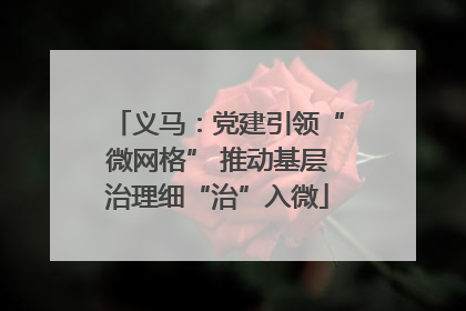 义马：党建引领“微网格” 推动基层治理细“治”入微