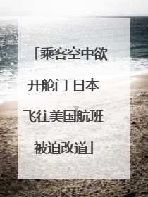 乘客空中欲开舱门 日本飞往美国航班被迫改道