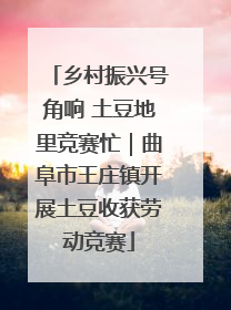 乡村振兴号角响 土豆地里竞赛忙｜曲阜市王庄镇开展土豆收获劳动竞赛