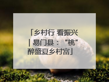 乡村行 看振兴｜易门县：“桃”醉盛夏乡村富