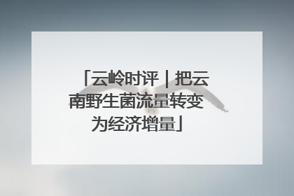 云岭时评｜把云南野生菌流量转变为经济增量