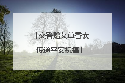 交警赠艾草香囊 传递平安祝福