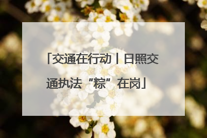 交通在行动丨日照交通执法“粽”在岗