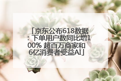 京东公布618数据：下单用户数同比增100% 超百万商家和6亿消费者受益AI