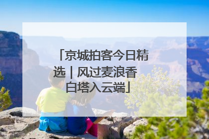 京城拍客今日精选｜风过麦浪香 白塔入云端