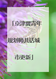 京津冀青年规划师共话城市更新