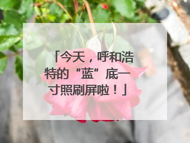 今天，呼和浩特的“蓝”底一寸照刷屏啦！