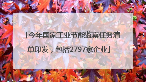 今年国家工业节能监察任务清单印发，包括2797家企业