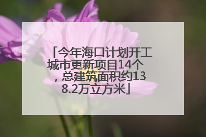 今年海口计划开工城市更新项目14个，总建筑面积约138.2万立方米