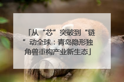 从“芯”突破到“链”动全球：青岛隐形独角兽重构产业新生态