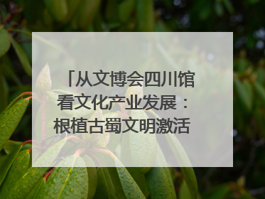 从文博会四川馆看文化产业发展：根植古蜀文明激活创新基因｜文博向“新”