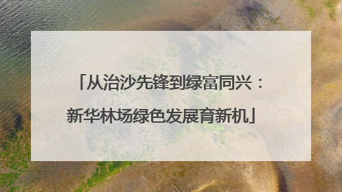 从治沙先锋到绿富同兴：新华林场绿色发展育新机