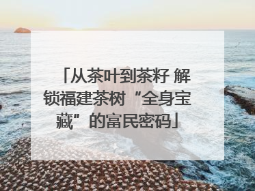 从茶叶到茶籽 解锁福建茶树“全身宝藏”的富民密码