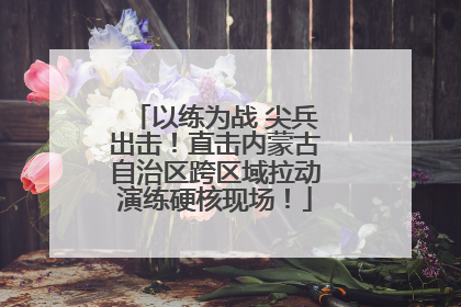 以练为战 尖兵出击！直击内蒙古自治区跨区域拉动演练硬核现场！