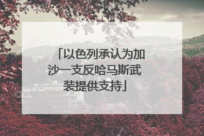 以色列承认为加沙一支反哈马斯武装提供支持