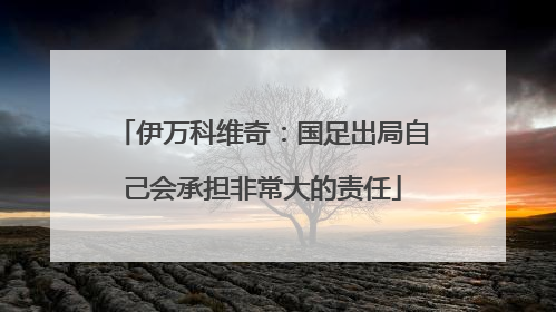 伊万科维奇：国足出局自己会承担非常大的责任
