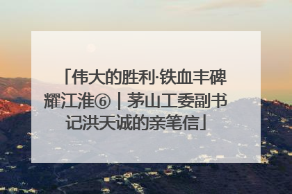 伟大的胜利·铁血丰碑耀江淮⑥｜茅山工委副书记洪天诚的亲笔信