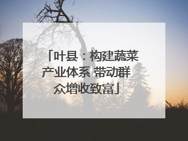 叶县：构建蔬菜产业体系 带动群众增收致富