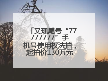 又现尾号“77777777”手机号使用权法拍，起拍价130万元，已有人报名