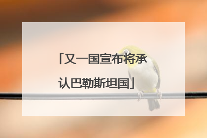 又一国宣布将承认巴勒斯坦国