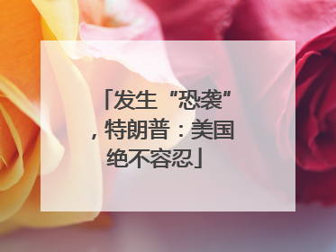 发生“恐袭”，特朗普：美国绝不容忍