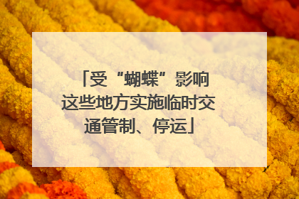 受“蝴蝶”影响 这些地方实施临时交通管制、停运