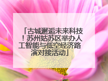 古城邂逅未来科技！苏州姑苏区举办人工智能与低空经济路演对接活动