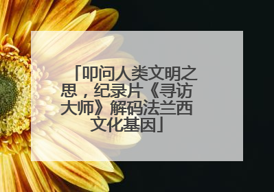 叩问人类文明之思，纪录片《寻访大师》解码法兰西文化基因