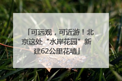 可远观，可近游！北京这处“水岸花园”新建62公里花墙