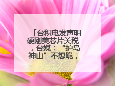 台积电发声明硬刚美芯片关税，台媒：“护岛神山”不想跪，赖当局呢？