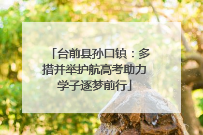 台前县孙口镇：多措并举护航高考助力学子逐梦前行