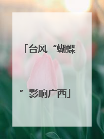 台风“蝴蝶”影响广西
