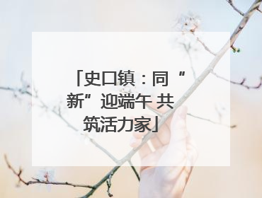 史口镇：同“新”迎端午 共筑活力家