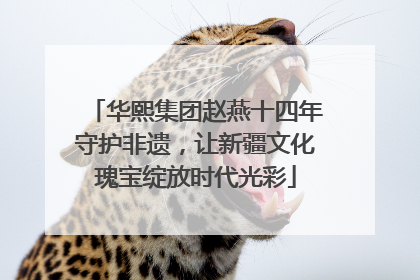 华熙集团赵燕十四年守护非遗，让新疆文化瑰宝绽放时代光彩