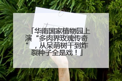 华南国家植物园上演“多肉界玫瑰传奇”，从呆萌树干到炸裂种子全是戏！